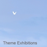 Theme Exhibitions