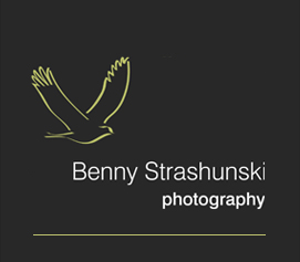 Benny Strashunski